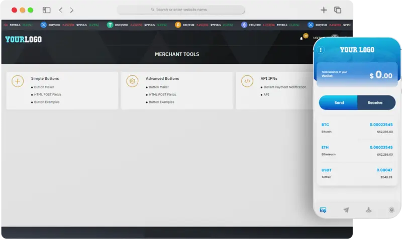 Cryptocurrency Payment Gateway Development Company