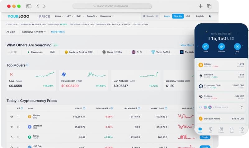 DeFi Wallet Development