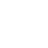 Skype Icon